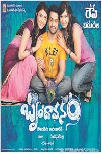 The Super Khiladi (Brindavanam) (2010) ORG Hindi Dubbed Movie